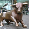 Brass Bull