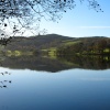 Esthwaite Water Nr Hawkshead