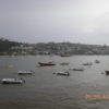 The Harbour