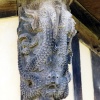 Stokesay Castle