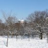 The Royal Observatory In The Snow