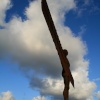 The Angel