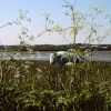 Low tide at River Stour