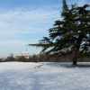 The Royal Observatory