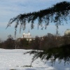 The Royal Observatory