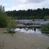 Delamere Forest