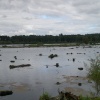 Delamere