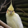 Walton Hall Pet Zoo