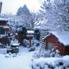 Snow covered back garden