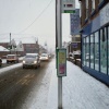 Snow Bound