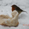 Nice Bread