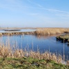 Cley Marshes