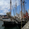 Tall ships