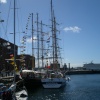 Tall ships
