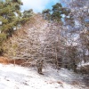 Spring is just around the corner