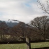 Snow on Chanctonbury Ring