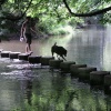 Stepping Stones over the River Mole