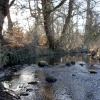 Baydale Beck
