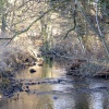 Baydale Beck, Darlington