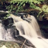 A picture of Cragside