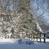 Winter Snows