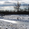Cossington Meadows