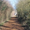 Path to Odell