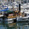 Gosport Marina