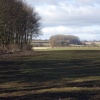 The edge of the wood