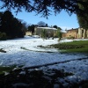 Looking towards the hall from under the trees