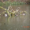Daneshill Lakes and Nature Reserve
