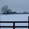 Snow at Easter