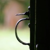 The door