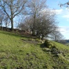 Bradfield