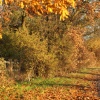 Autumn colours