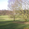 Cricket Green