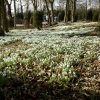 Hopton Hall