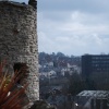 The sensory garden at Dudley Castle and Zoo