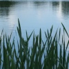 Lake at Whisby Nature Reserve