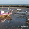 Boats in the Harbour