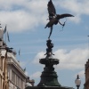 Eros
