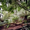 The Lost Gardens of Heligan