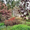Inverewe Gardens in full bloom