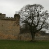 Belsay Castle