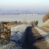 Frosty day