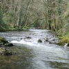 River Dart