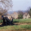Near Upper Hambleton, Rutland