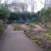 Quarry Garden 1