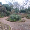 Quarry Garden 2