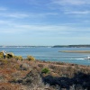 Arne Nature Reserve in Dorset